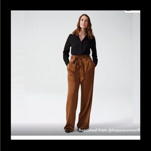 Universal Standard Tan Satin Pants